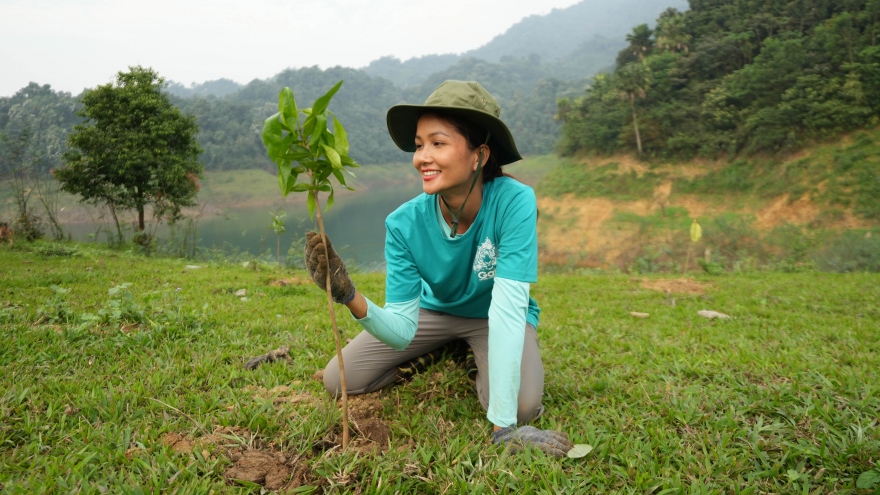 H'Hen Niê chân lấm tay bùn đi trồng rừng vẫn đẹp như nàng thơ