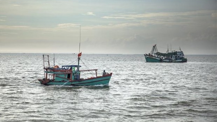 Vietnam boosts satellite-based vessel monitoring to eradicate IUU fishing