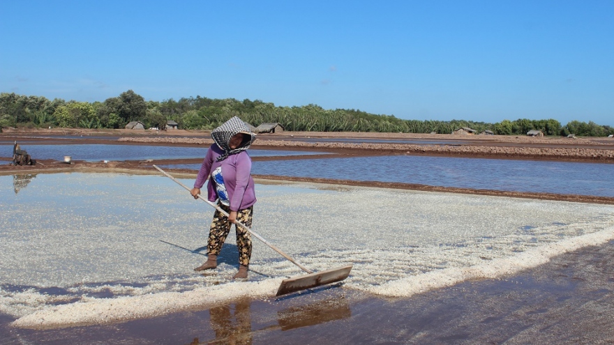 Diêm dân tích cực sản xuất muối để có thu nhập mùa khô hạn