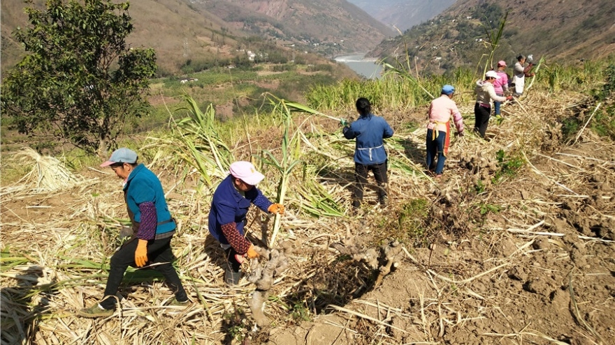 Những thách thức trong tham vọng chấn hưng nông thôn của Trung Quốc