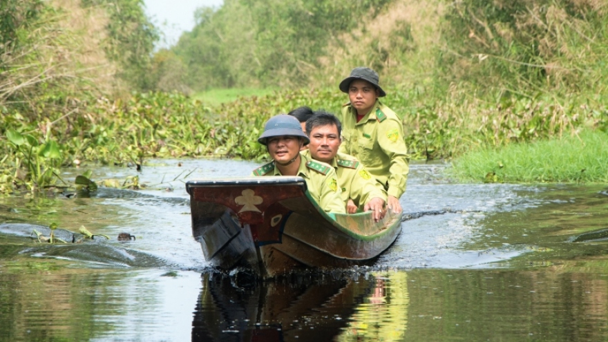 Vườn Quốc gia U Minh hạ tăng cường phòng cháy, chữa cháy rừng