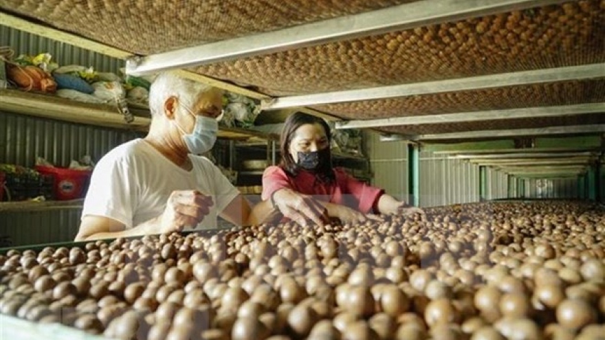 Project aims for sustainable growth of macadamia industry