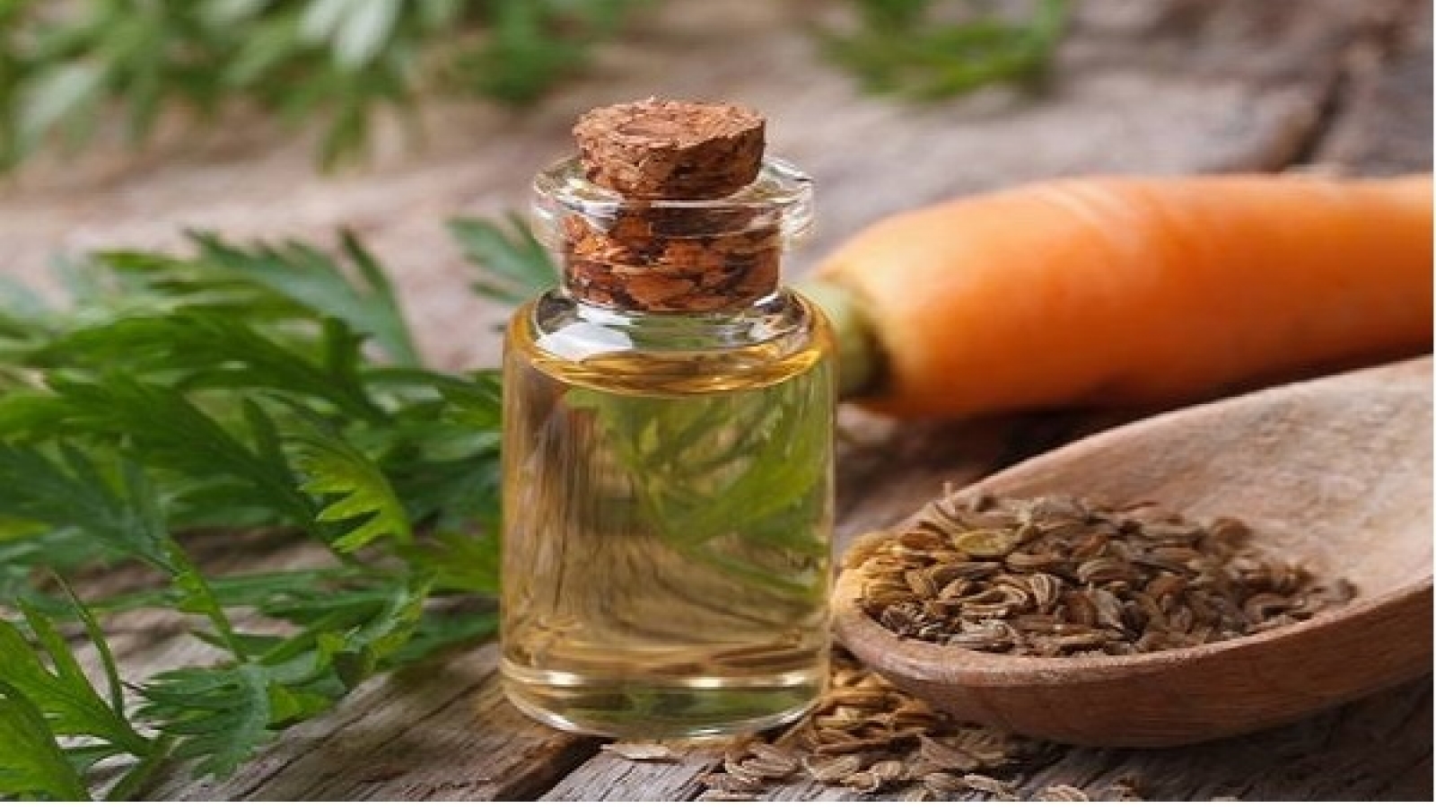 Cách sử dụng dầu cà rốt để mọc tóc