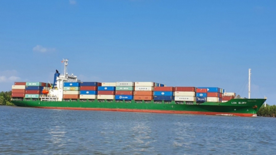 Phi vụ xuất khẩu hạt điều 1.000 tỷ: 36/100 container mất quyền kiểm soát 