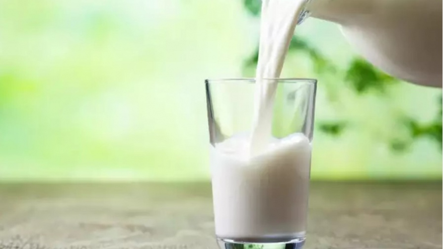 7 loại thực phẩm cung cấp nhiều canxi hơn sữa