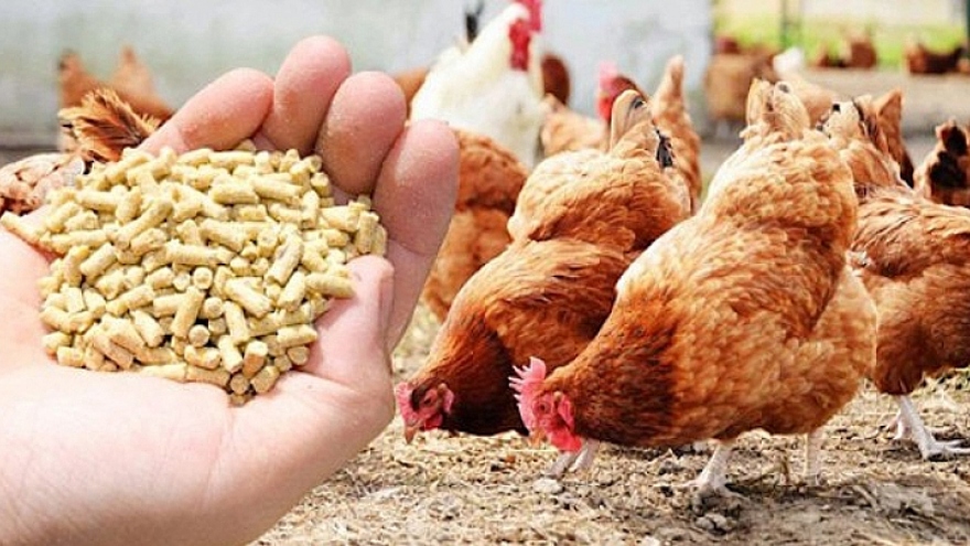 Animal feed exports to the US rise sharply