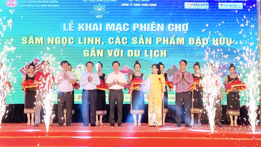 Ngoc Linh ginseng, precious medicinal herb introduced at local fair