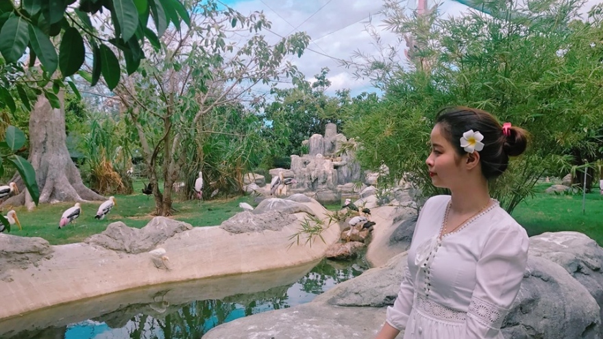 Đến Bình Định săn loạt ảnh check – in độc lạ tại FLC Zoo Safari Park Quy Nhon