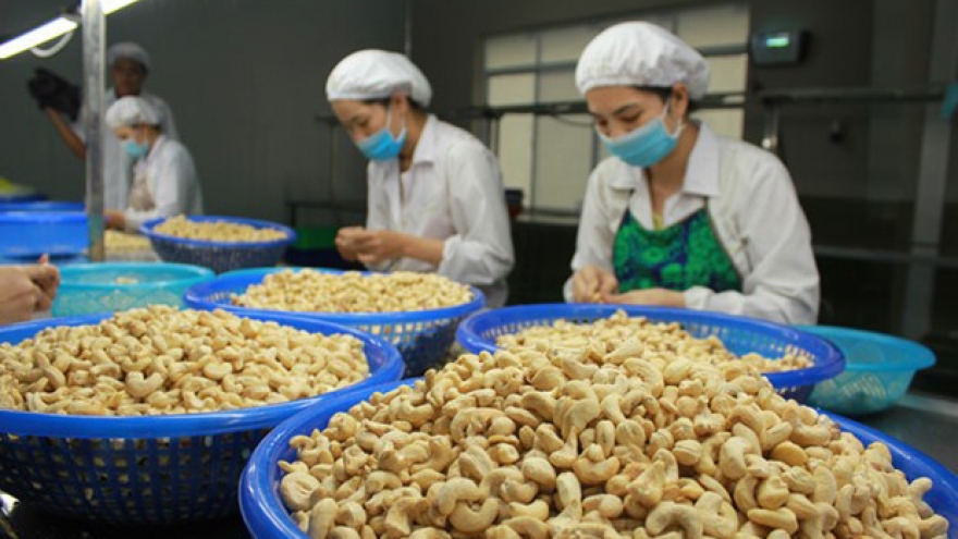 Great progress reported in settlement of suspected cashew nut scam in Italy