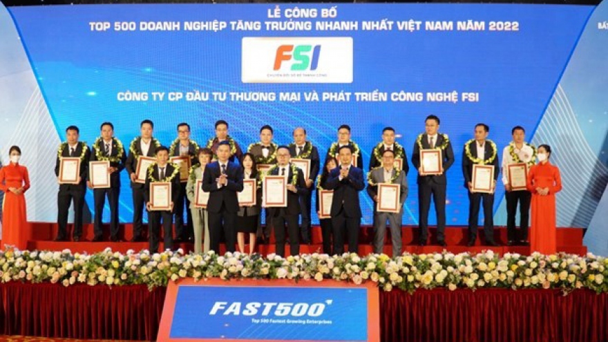 Vietnam’s 500 fastest-growing companies honoured