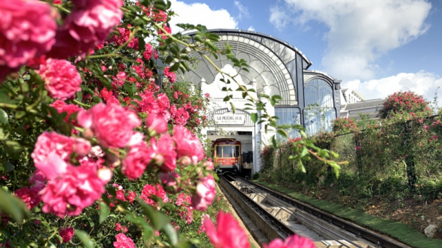 Lao Cai to host largest rose festival in northwestern region