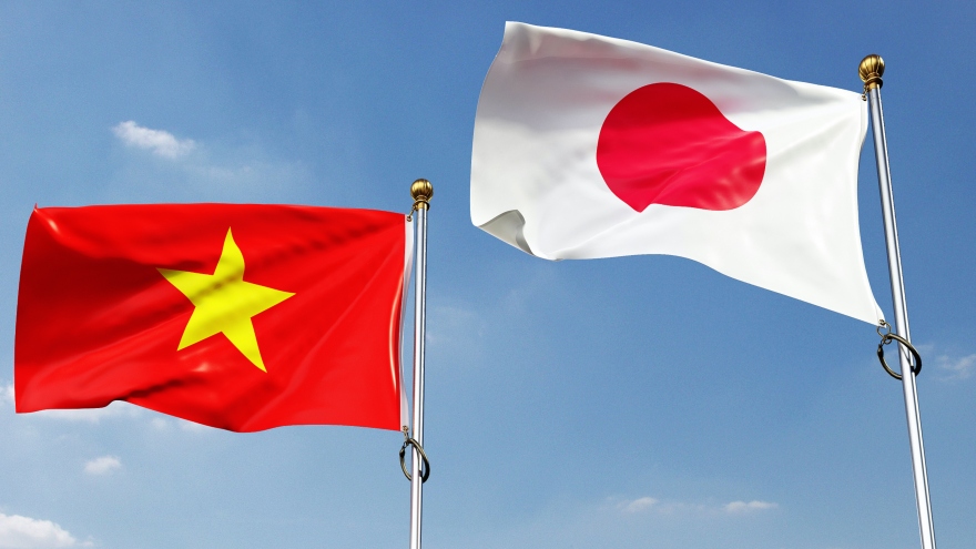 Vietnam-Japan relations moving towards a new stage: Japanese Ambassador 
