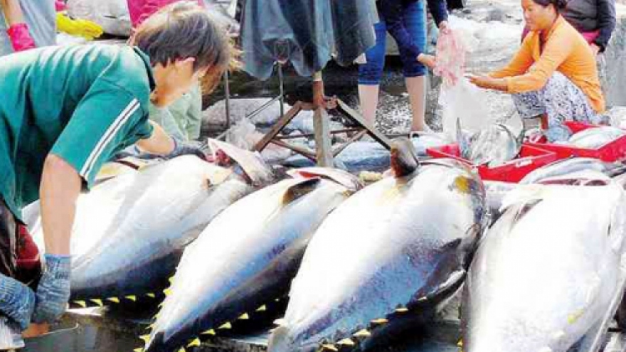 First quarter tuna exports enjoy high growth