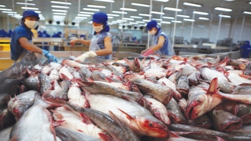 Xuất khẩu tôm và cá tra tăng trưởng khá trong 6 tháng đầu năm