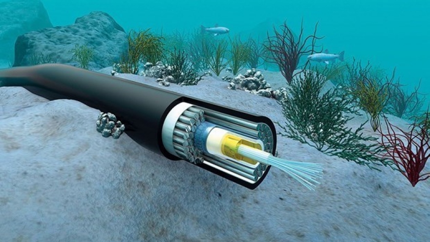 Faulty undersea cable to slow internet speed in Vietnam