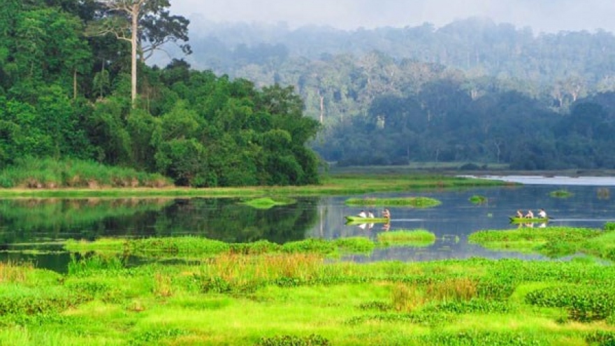 Dong Nai seeks UNESCO advice on forest-crossing highway project