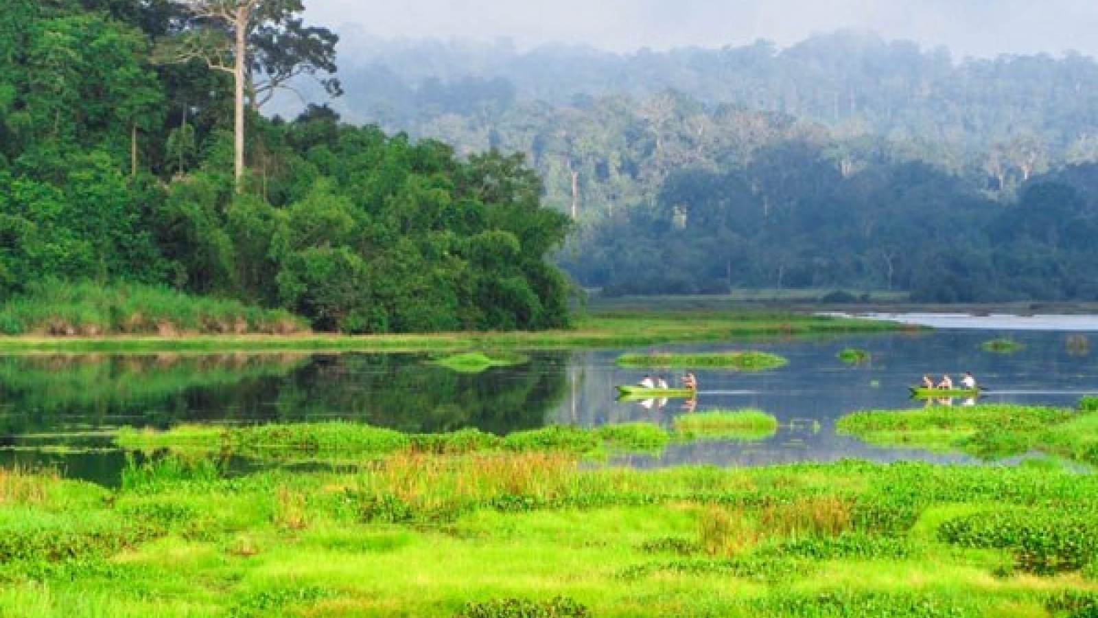 Dong Nai seeks UNESCO advice on forest-crossing highway project