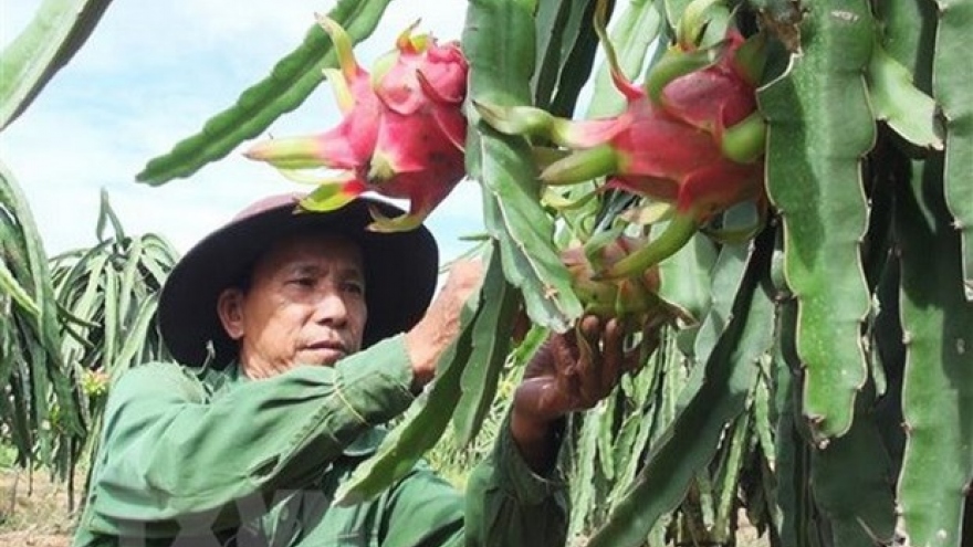 Vietnam, New Zealand foster agriculture economies following COVID-19 pandemic