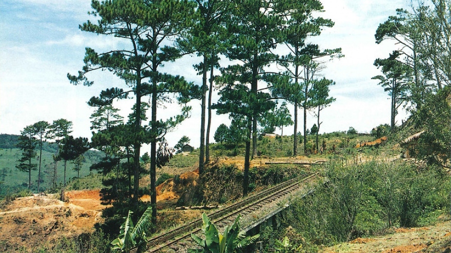 Phục hồi tuyến đường sắt răng cưa huyền thoại Phan Rang – Đà Lạt