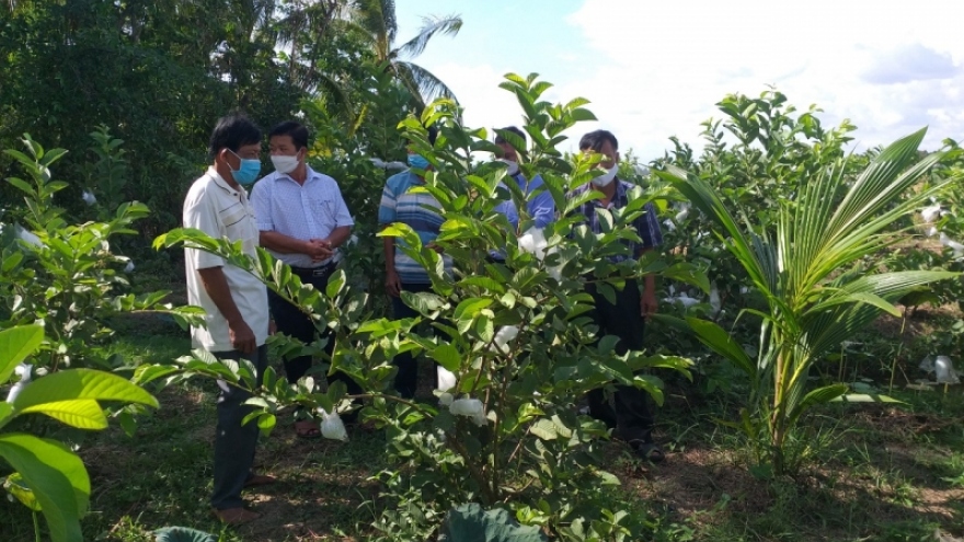 Kinh tế đi lên, đồng bào Khmer đón Chôl Chnăm Thmây vui tươi, phấn khởi