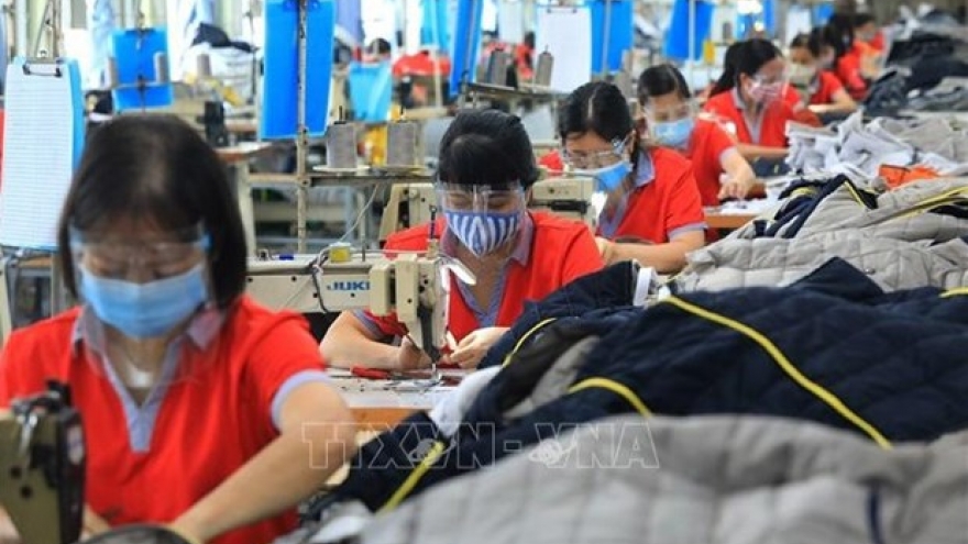 Domestic labour market bouncing back: GSO