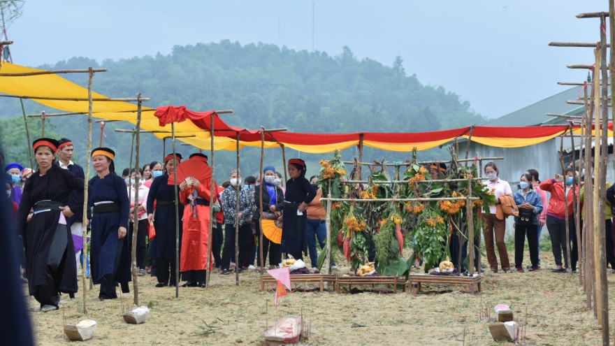 Tháng ba trẩy hội Nàng Hai