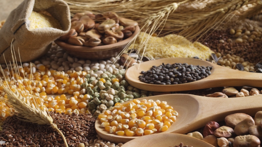 FAO: Chỉ số giá lương thực thế giới tăng trong tháng 5