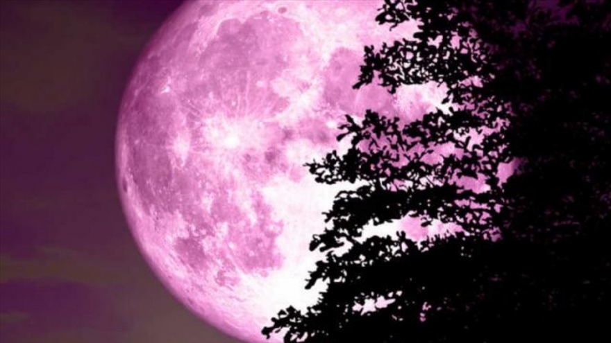 Full Pink Moon to be visible in Vietnam on April 17