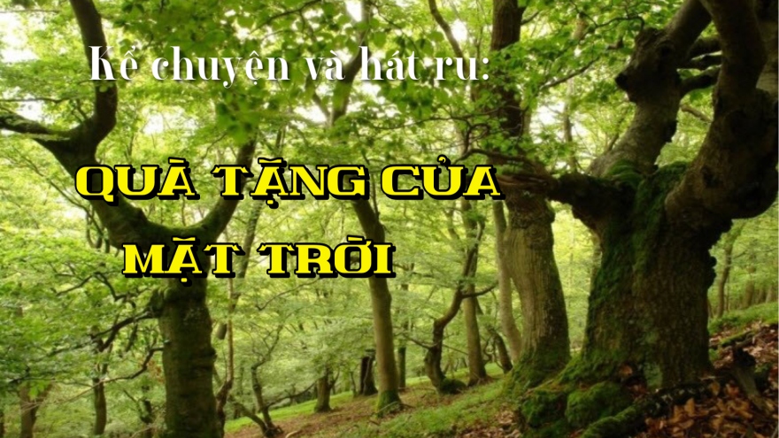 Quà tặng của mặt trời