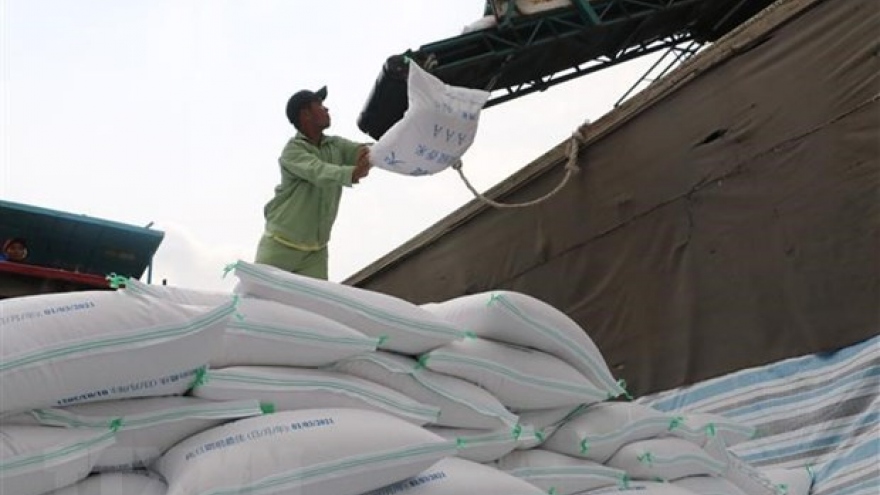 Vietnam’s rice export turnover up 10.5% in Q1