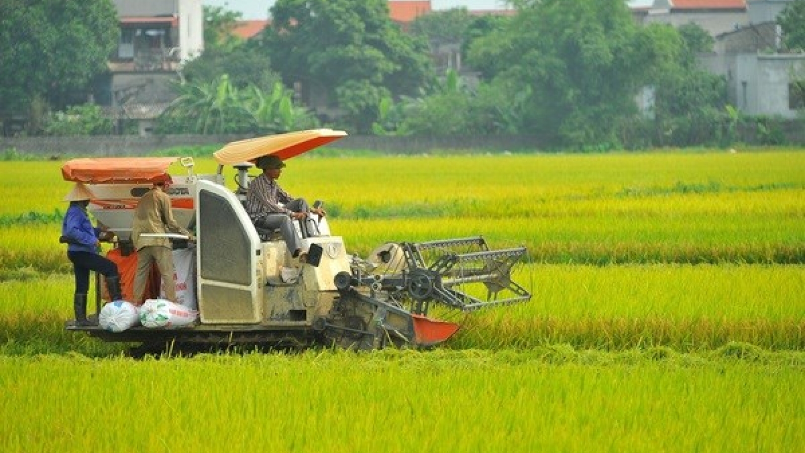 Conference reviews 10-year implementation of social welfare policies