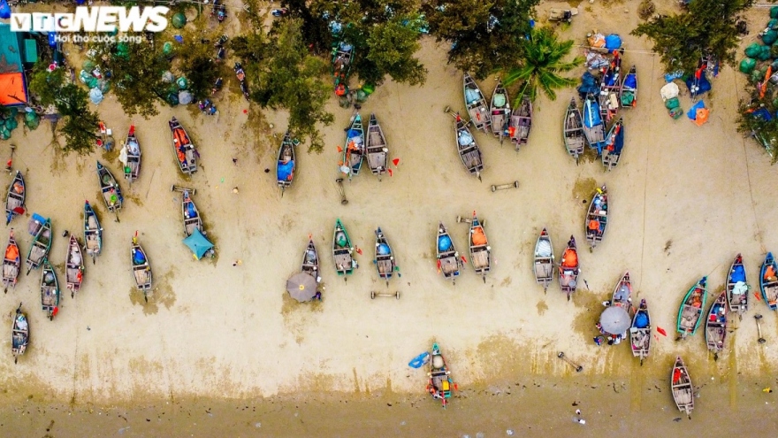 Hải sản biển Sầm Sơn hút khách mùa du lịch