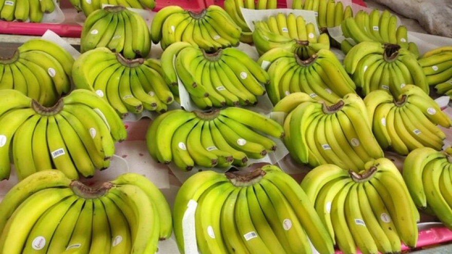 Japan increases banana imports from Vietnam
