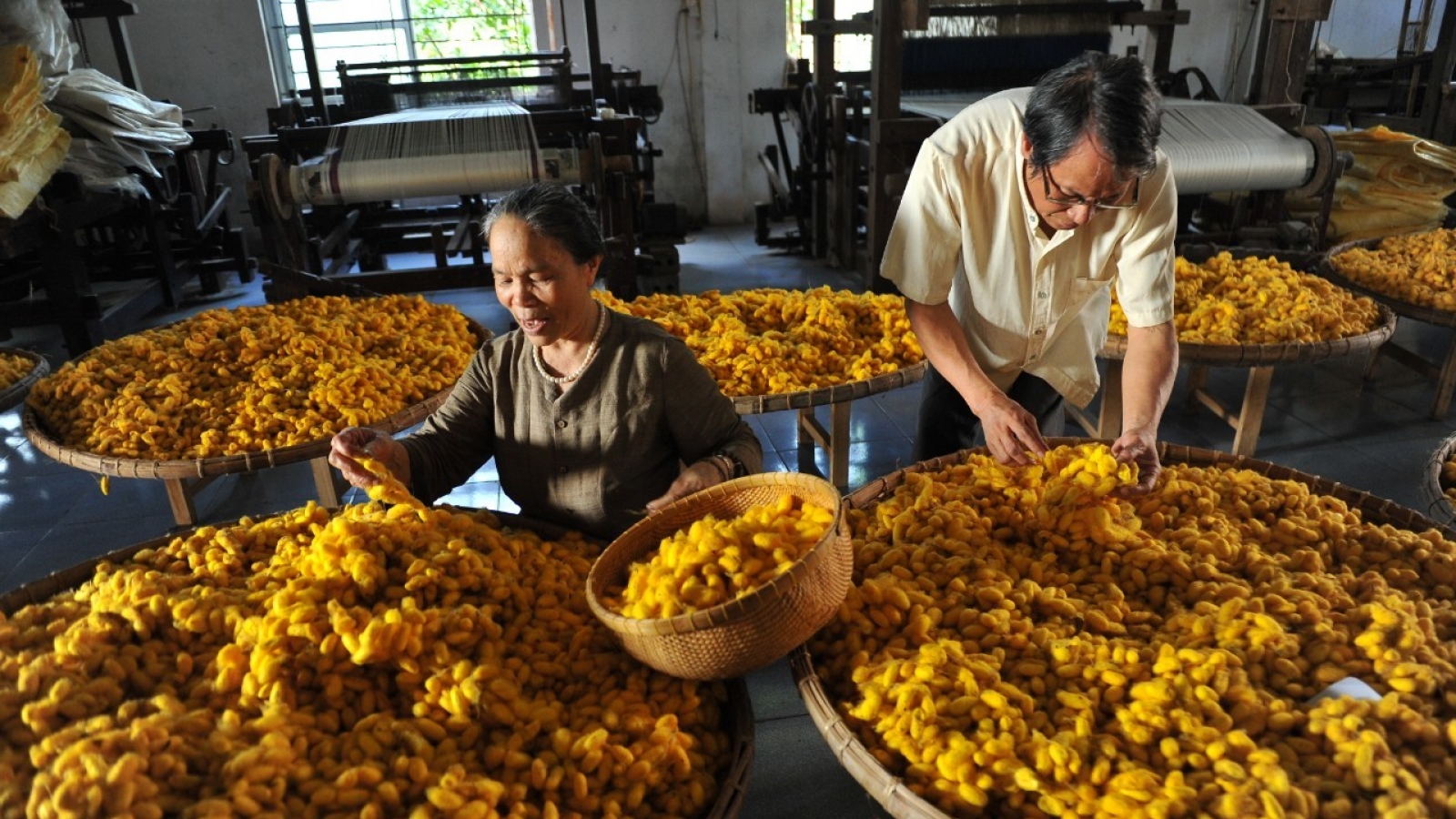Người giữ “hồn” cho lụa Phùng Xá