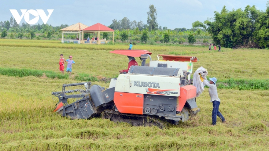 Nghị quyết 13 của Bộ Chính trị: Bước phát triển mới cho Vùng ĐBSCL