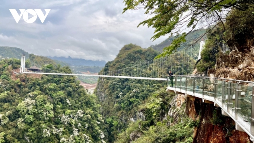 Vietnam glass-bottomed bridge wins Guinness world record
