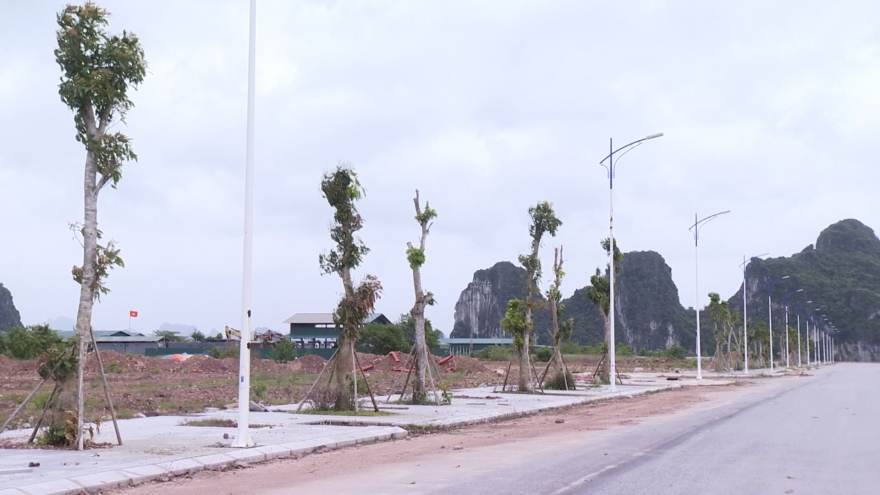 Chủ đầu tư dự án Ocean Park Vân Đồn khởi kiện Ngân hàng MB