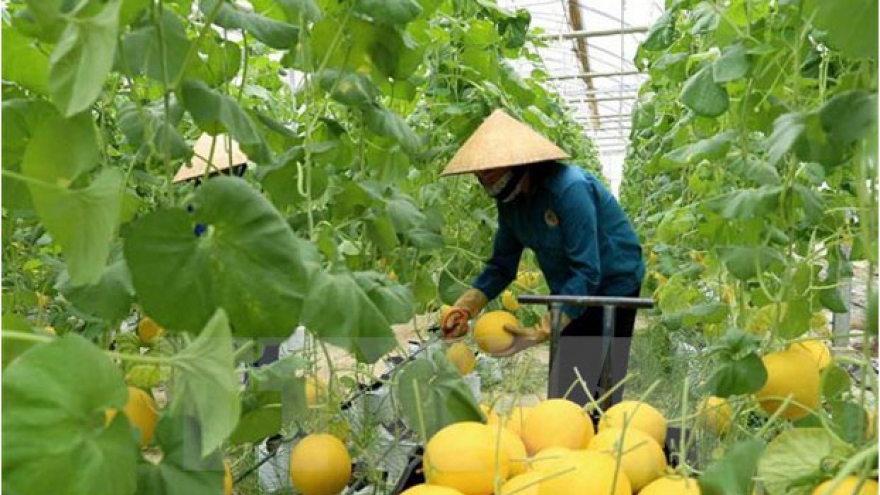 Vietnam keen on promoting agricultural partnership with US