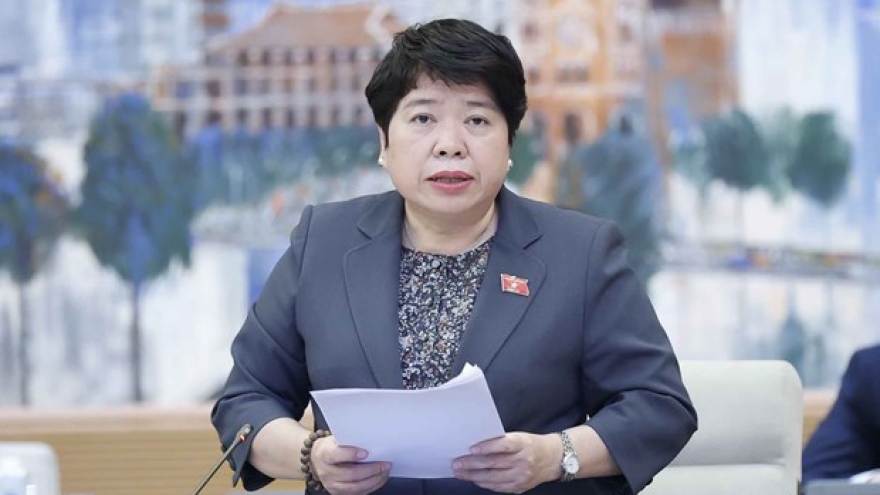 Draft revised law on domestic violence control submitted to parliament