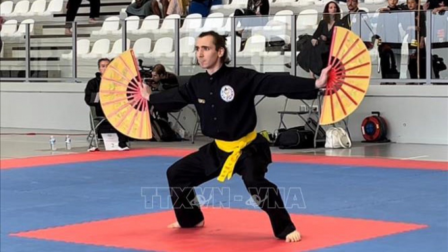 Vietnamese martial arts championship in France awards 151 medals