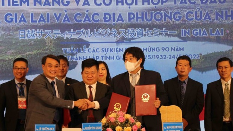 Gia Lai seeks partnerships with Japan in agriculture, renewable energy, tourism