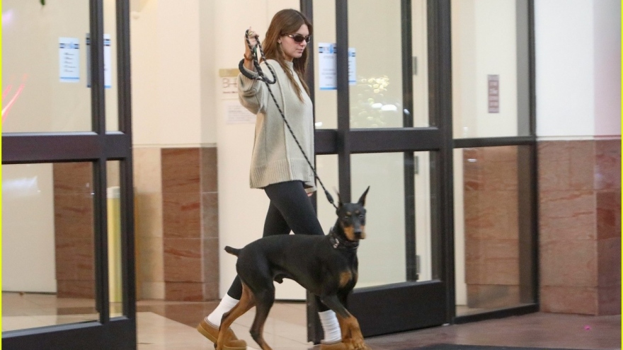 Kendall Jenner nhuộm tóc mới, để mặt mộc xinh đẹp dắt thú cưng đi dạo