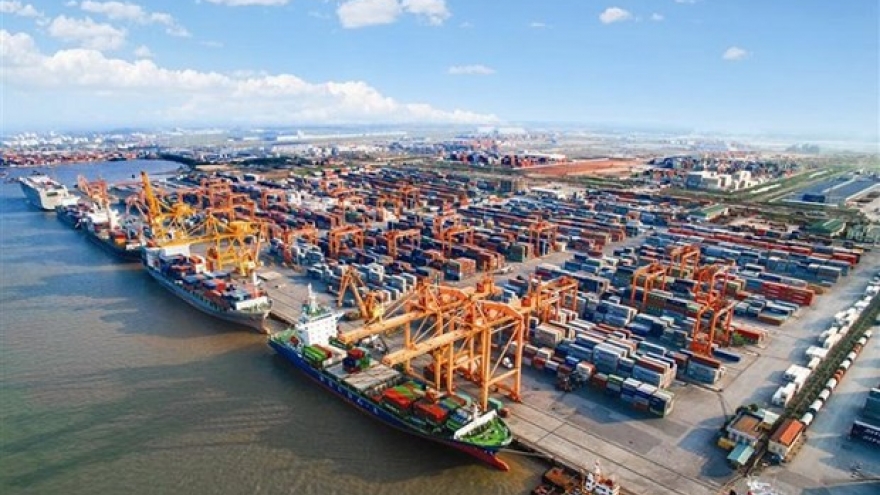 More room to develop Vietnam's international shipping fleet