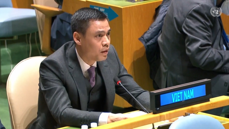 Food security crucial to global peace and development 