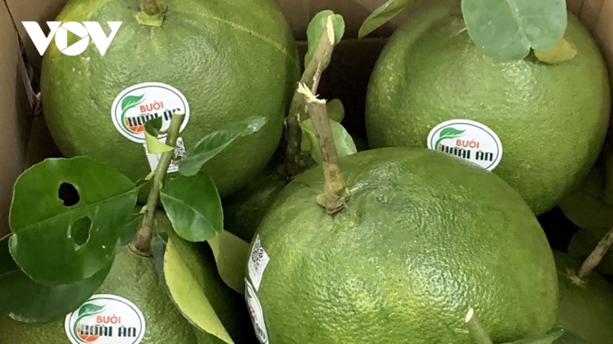 US agrees to import Vietnamese pomelos