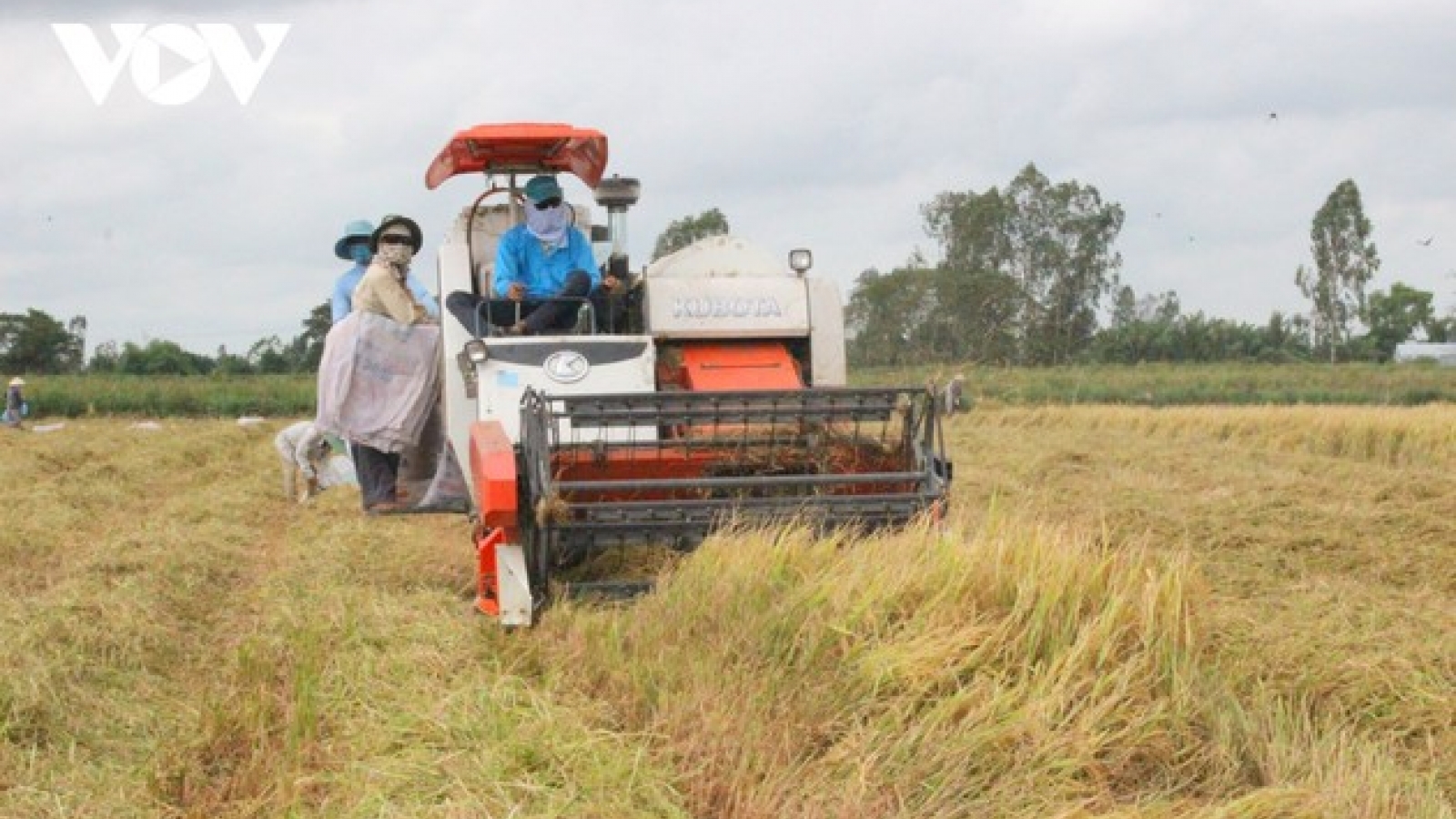 UNDP affirms commitment to Vietnam’s development goals