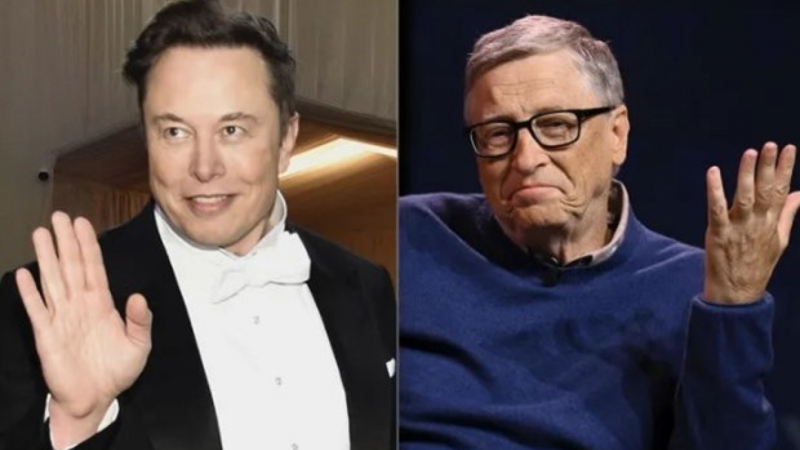 Elon Musk phản ứng gì khi bị Bill Gates chê làm từ thiện không nhiều?