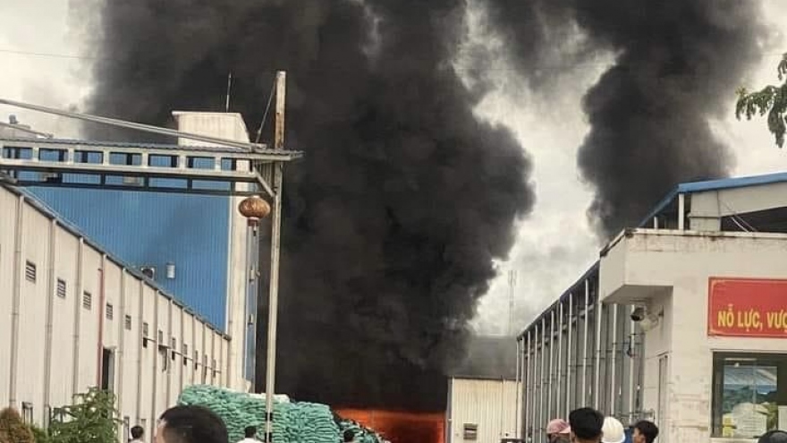Tiền Giang khống chế một đám cháy tại khu công nghiệp