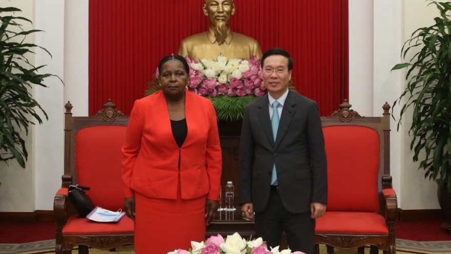 Ample room for stronger Vietnam- Mozambique cooperation