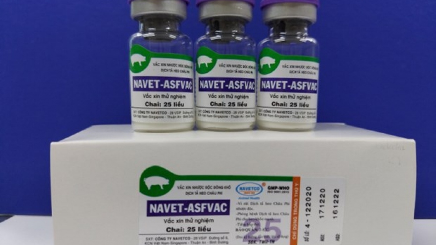 Vietnam successfully produces vaccine against African swine fever